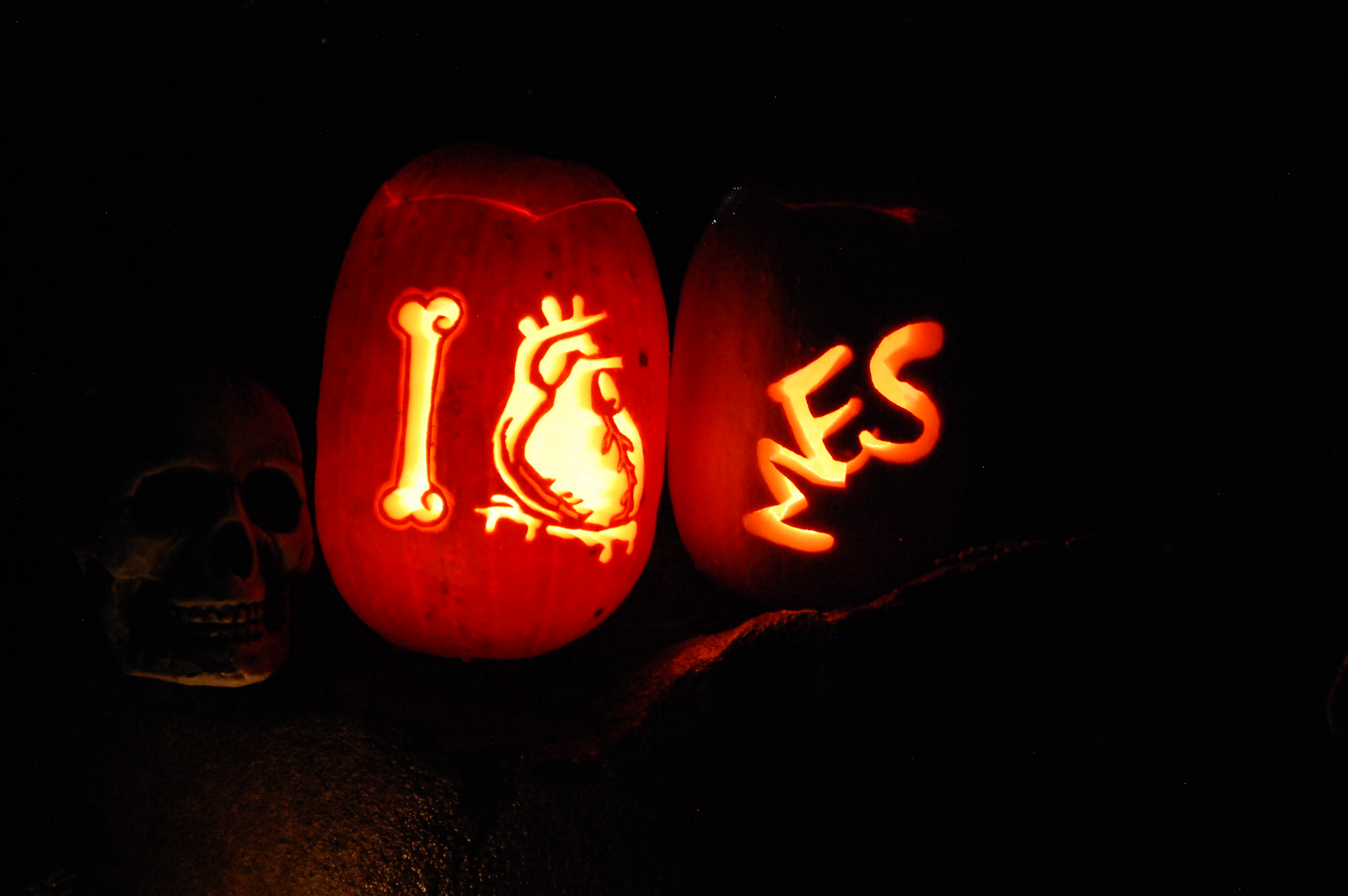 2014 Halloween Party - Ninja Theme 4