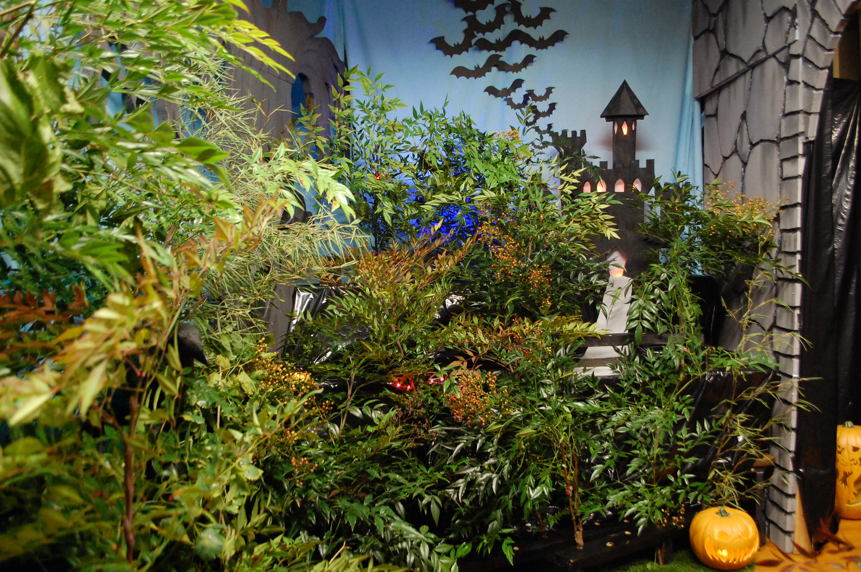 2016 Halloween Party - Vampire Theme 23