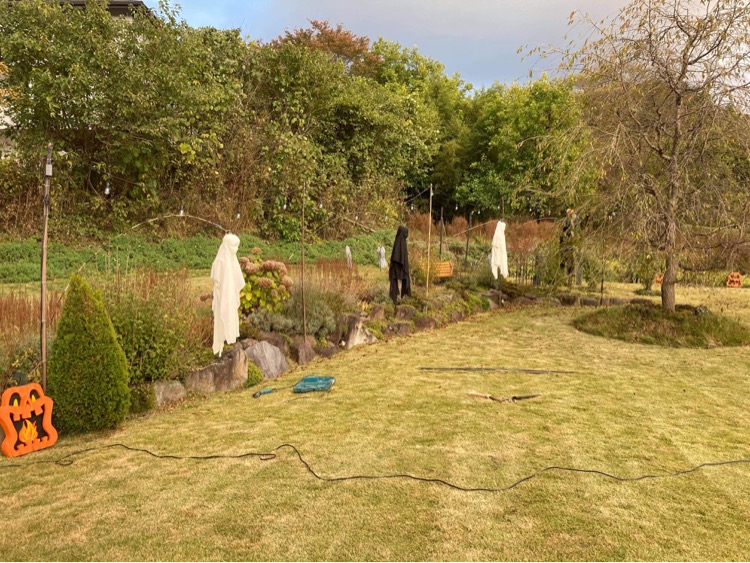 2021 Halloween Party - Werewolf Theme 13