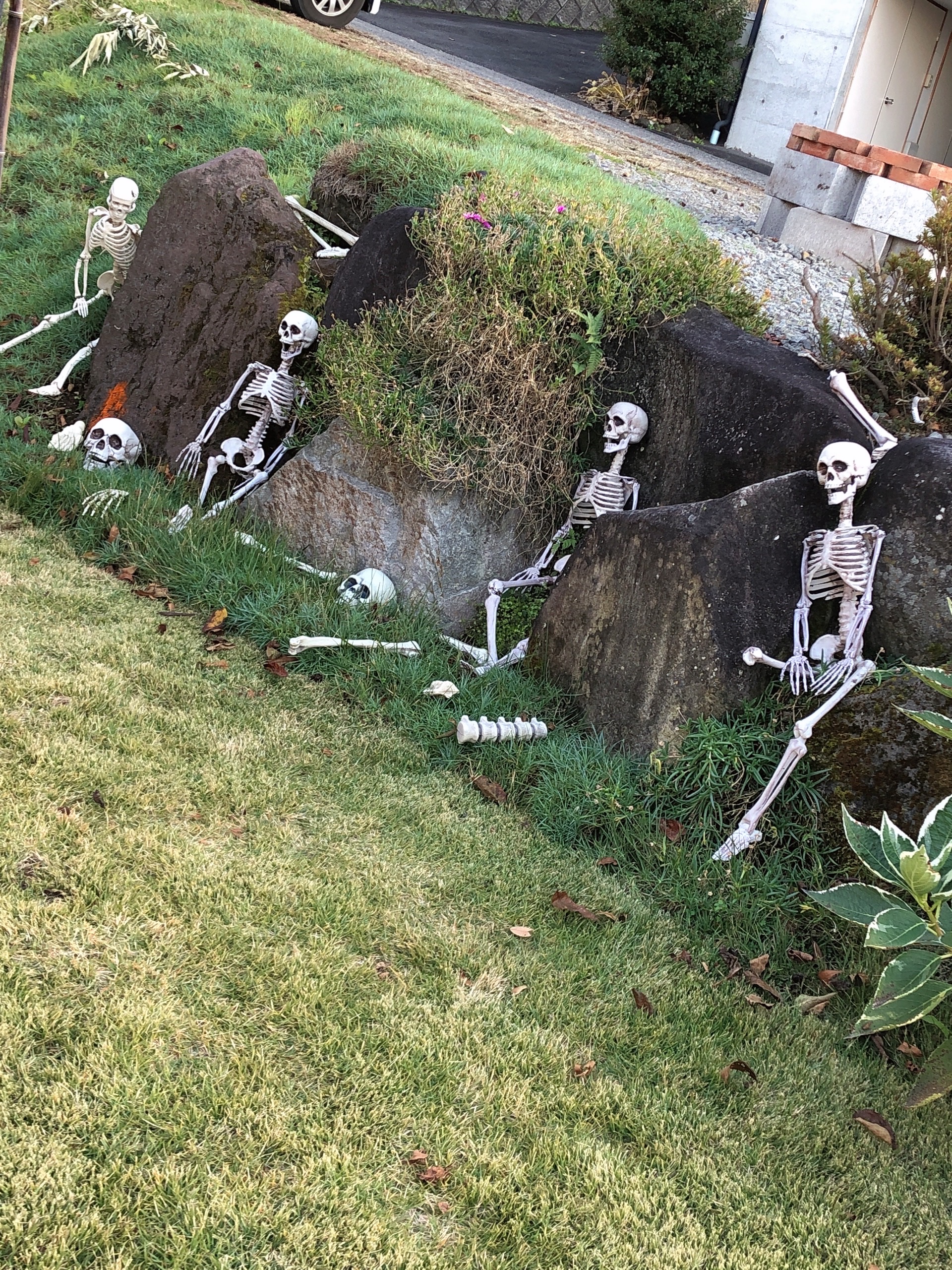 2021 Halloween Party - Werewolf Theme 37