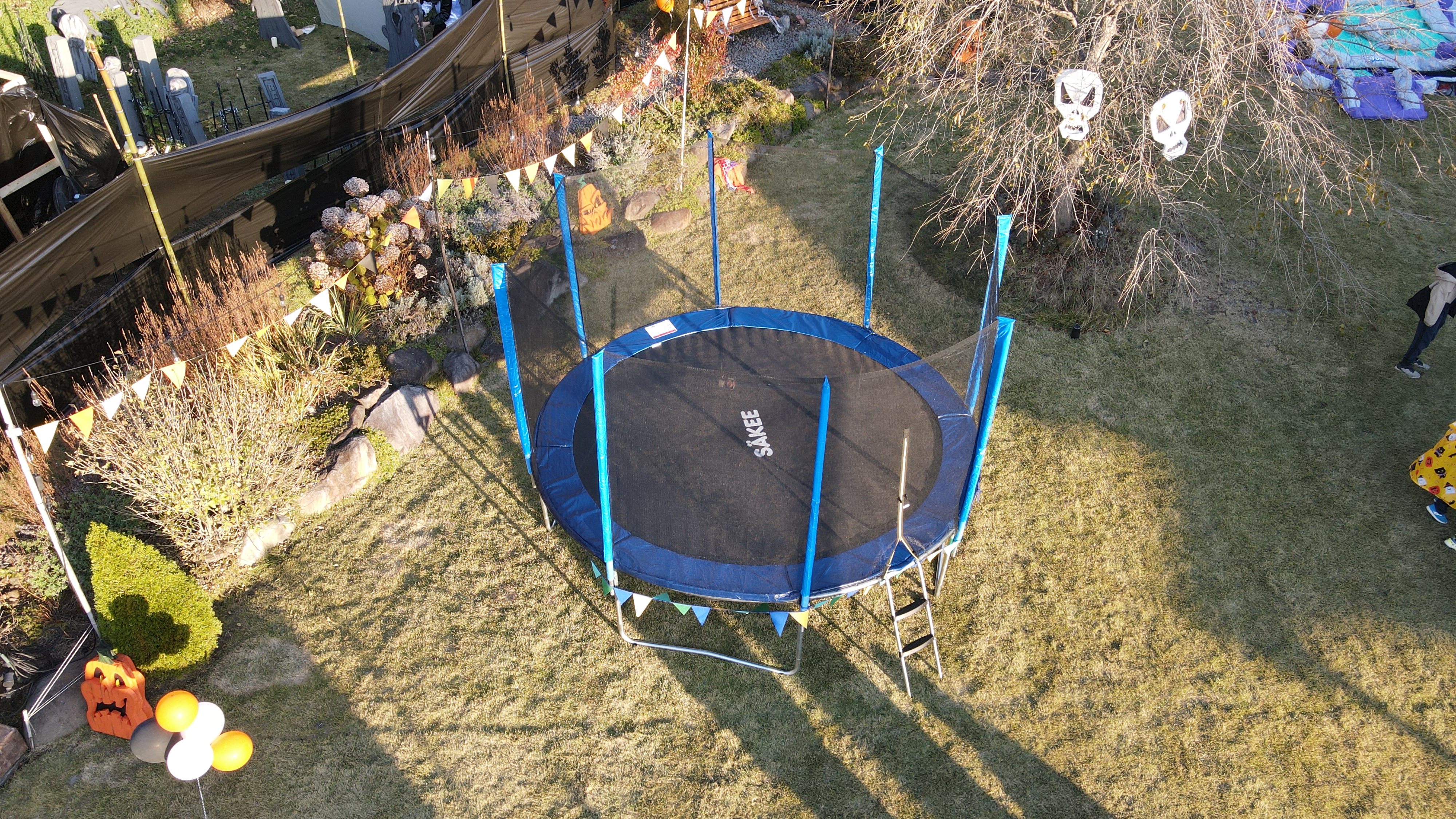 2022 Halloween Party - 20th Anniversary, Circus / Creepy Clown Theme 3