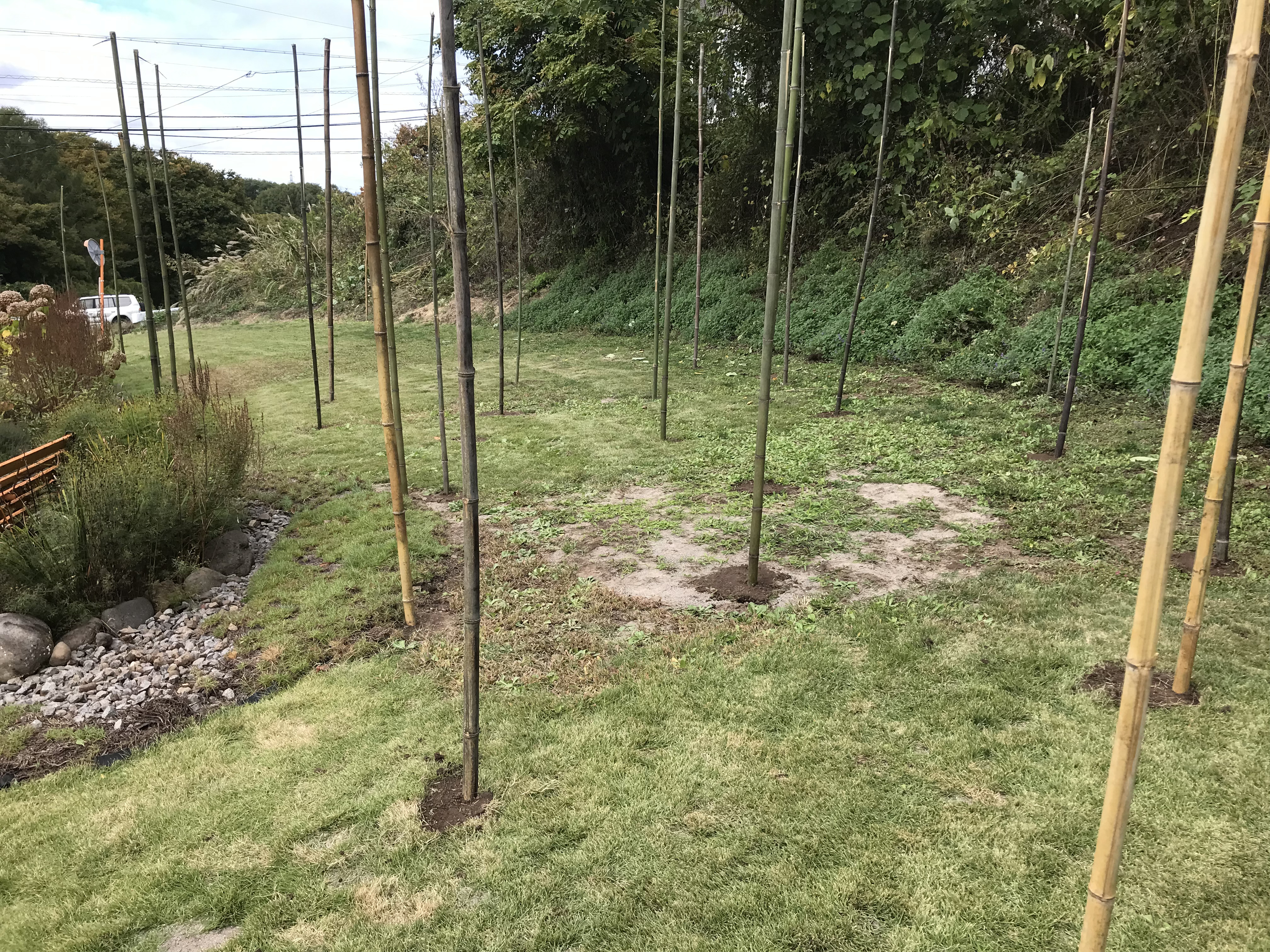 2022 Halloween Party - 20th Anniversary, Circus / Creepy Clown Theme 17