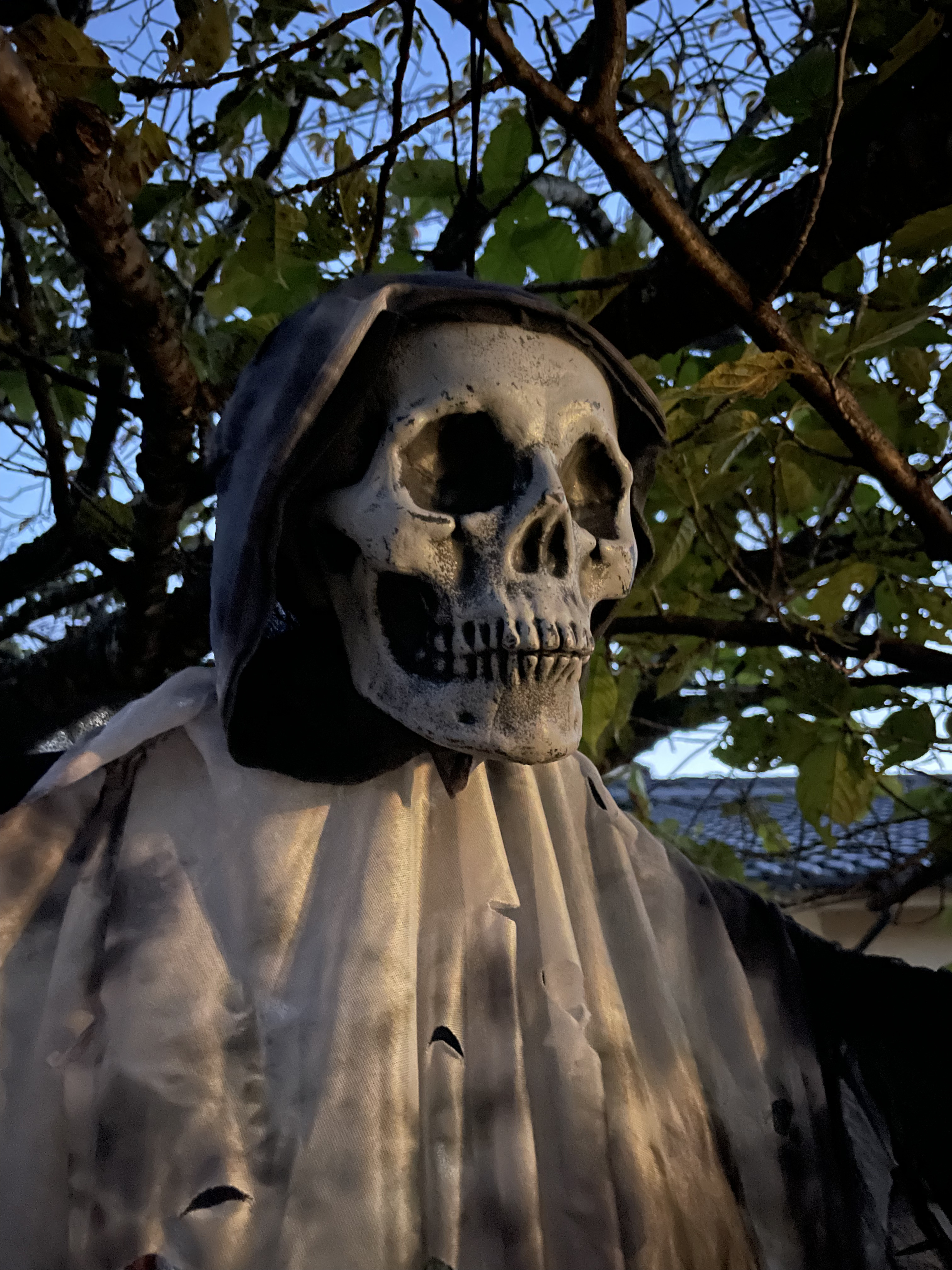 2022 Halloween Party - 20th Anniversary, Circus / Creepy Clown Theme 32